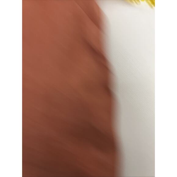 Pure J. Jill Love Linen Rusty Red Orange Lagenlook Blouse Shirt Top Size XL - Picture 7 of 9